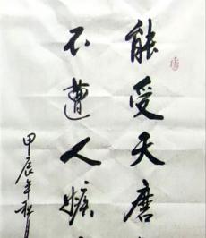 王子彬《能受天磨真铁汉,不遭人嫉是庸才》_书法作品作品_天府字画网